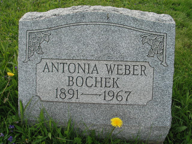 Antonia Weber Bocheck