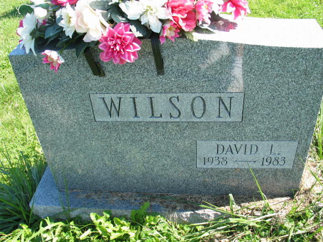 David L. Wilson