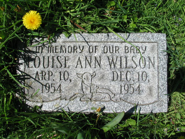 Louise Ann Wilson