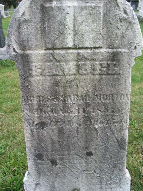 Samuel Morton tombstone