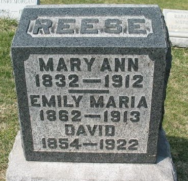 Mary Ann Reese tombstone