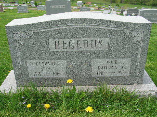 Steve and Kathryn M. Hegedus