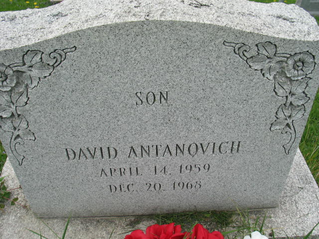 David Antanovich