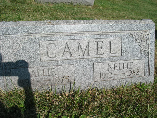 Allie and Nellie Camel