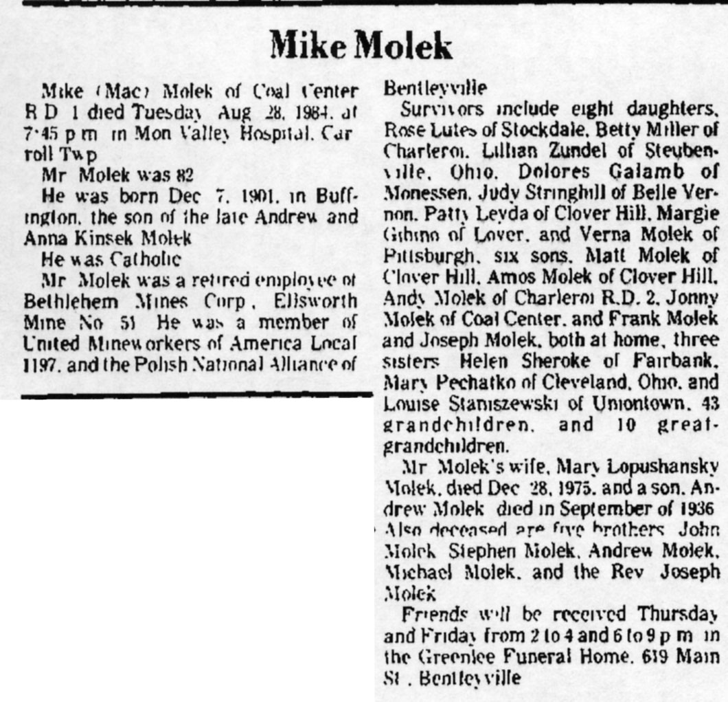 Mike Molek