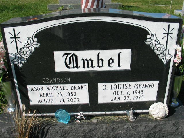 Jason Michael Drake and O. Louise Umbel