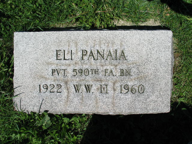 Eli Panaia