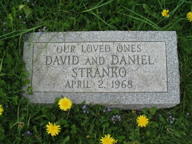 David and Daniel Stranko