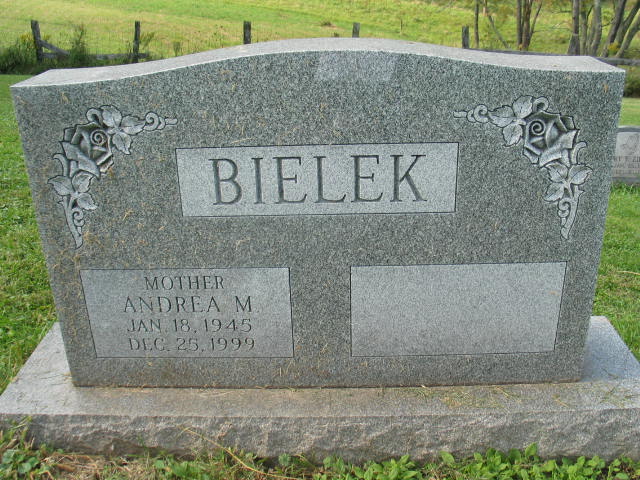 Andrea M. Bielek